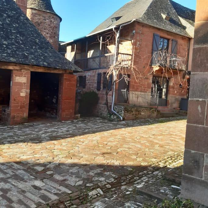 Maison En Pierre Sur Les Quais De La Dordogne Argentat Exterior foto